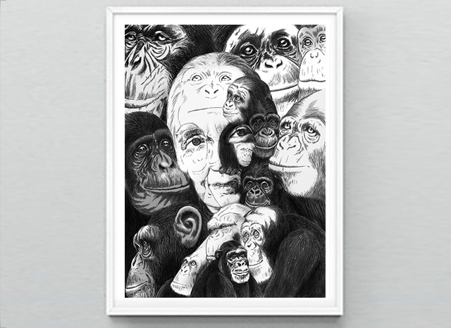 Jane Goodall Chimpanzee artwork